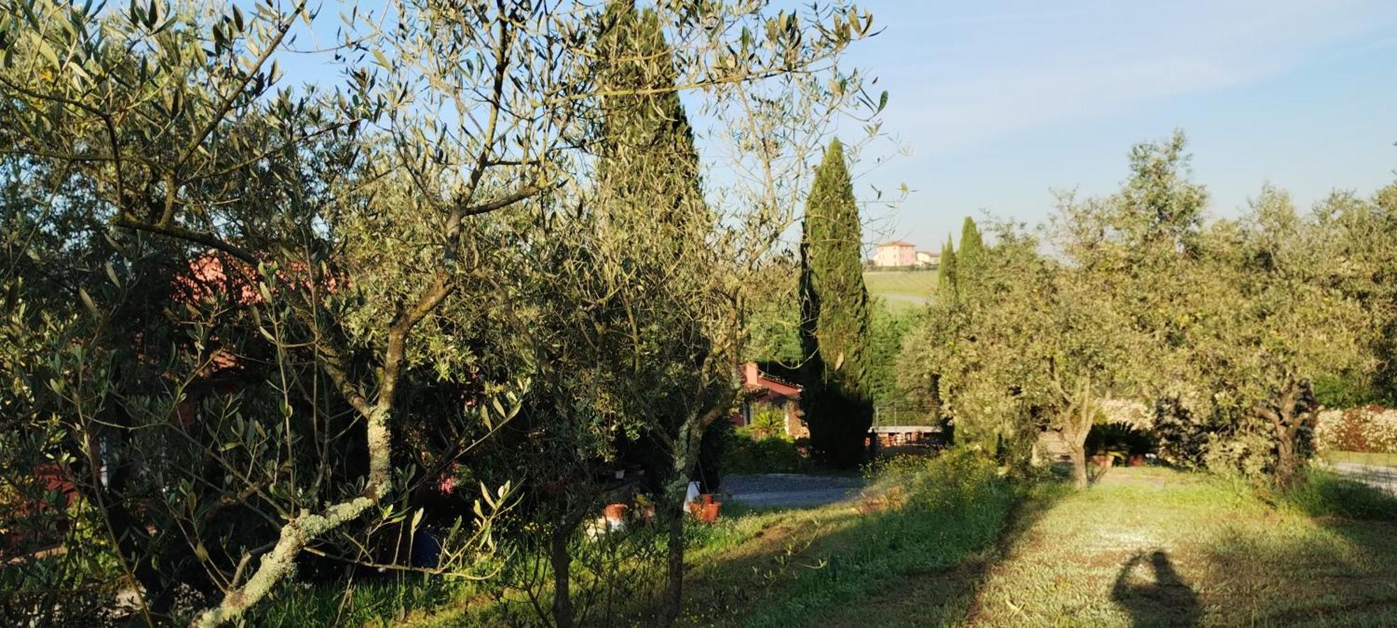 Al Sangallo Agriturismo Montecarlo Luaran gambar